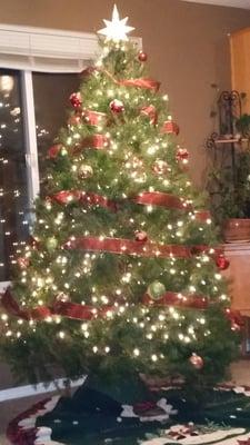 My tree, 7ft- super full, $20!!!