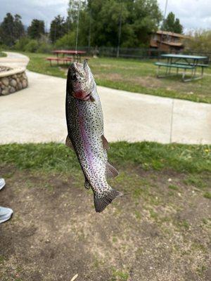 Trout Haven Fishing Pond