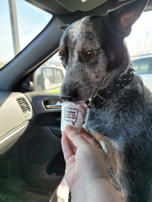 Pup cup and doggie snack