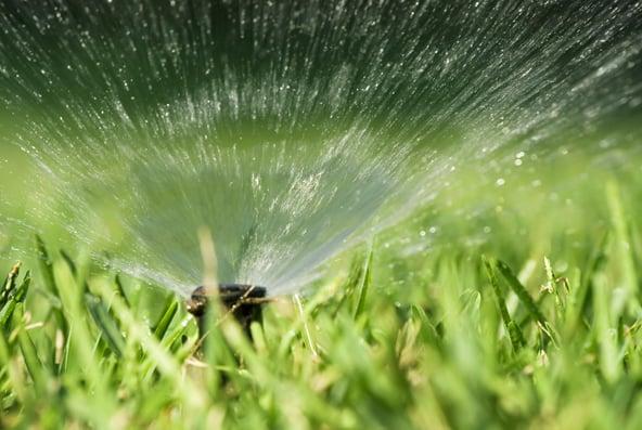 Sprinkler Systems