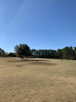 Hole 11. #nofilter 12/28/2020