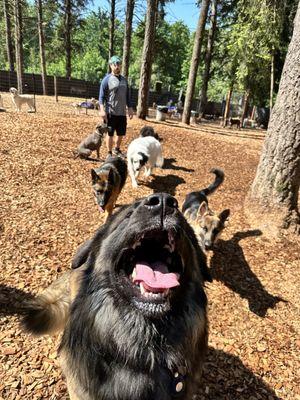 Reynolds Dog Resort & Training Center