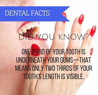 This is one reason why you should get your teeth cleaned twice a year. We clean under the gums as well as above.