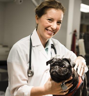 Dr. Wolford and a canine patient