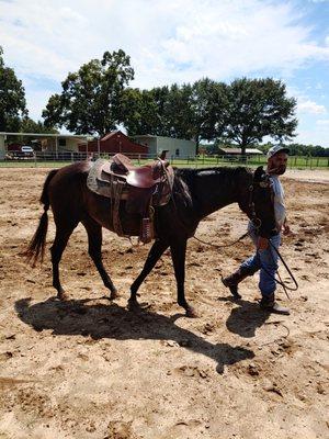 Foundation is our main focus when starting colts.