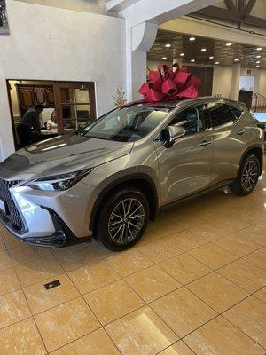 My new LEXUS NX 250