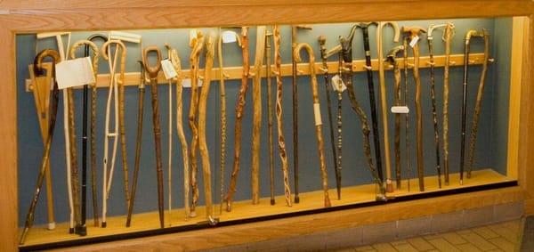 A collection of walking canes donated by patients and friends, on display in our lobby in Fort Collins