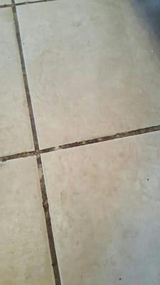 BEFORE PICTURE: Set in Grout Stains are no match for our experienced technicians