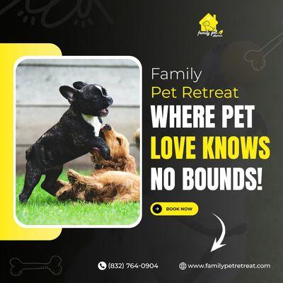 Family Pet Retreat: Where Pet Love Knows No Bounds! 
Pets Phone: (832) 764-0904
Visit Us:  https://familypetretreat.com/
19417 Haude Rd,