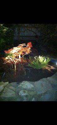 Outdoor landscape lighting