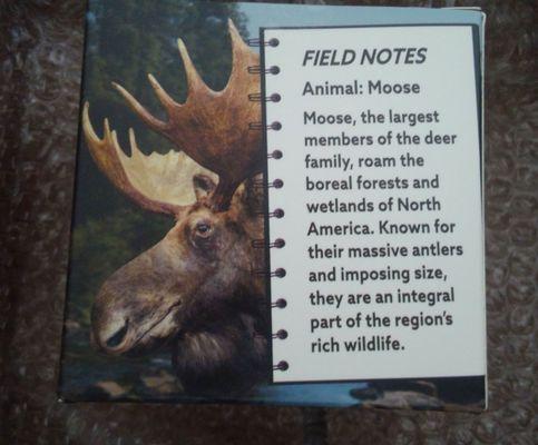 Facts about Moose