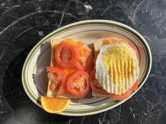 Toasted Cheese with Tomatoes Sandwich