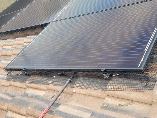 Bird protection and solar panel cleaning Lewis Premier Solar Cleaning LLC  702-982-9136