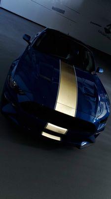 Reflective stripes on dark blue. Vinyl graphics.