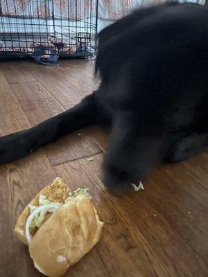 He didn't care for the bread either.  No chips pictured! They weren't delivered...