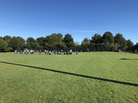 Nothing like wide expanses of NC grass on a warm fall day.