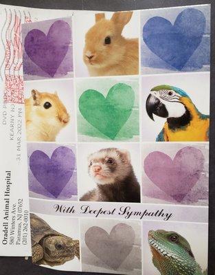 Exotic Pet Sympathy Card From Oradell, Thank You