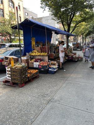 Outside Trader Joe's on Court St