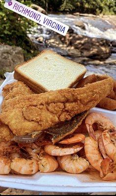 shrimp platter hush puppies & 2 piece of Lake Trout