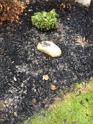 Gravel thrown into landscaping