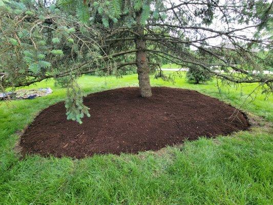 Mulching, Edging, Weed Removal, Weed Barior