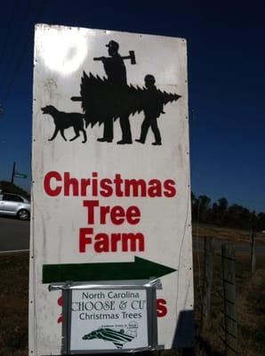 Back Achers Christmas Tree Farm