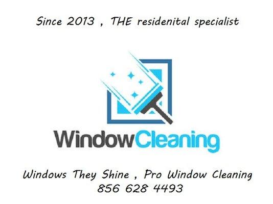 www.windowstheyshine.com