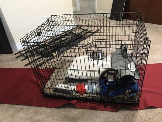 Crushed top of dog crate