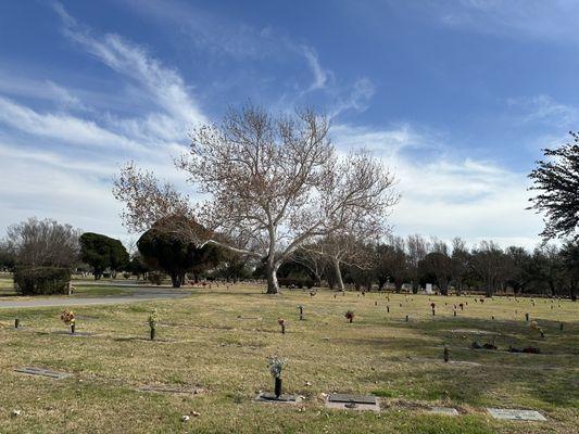 Cook-Walden/Capital Parks Funeral Home