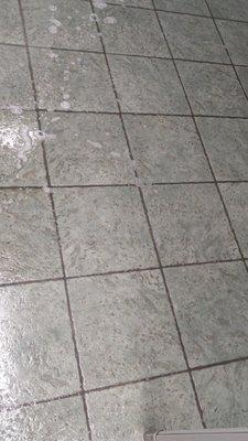 Before Tile and grout cleaning - water added to show the dirt