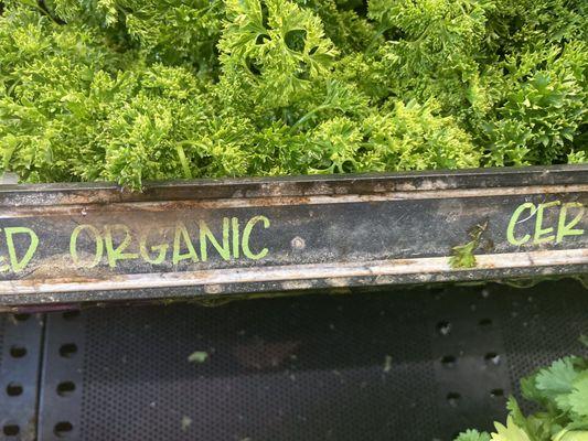 Mold and Rust taking over the produce the Rack