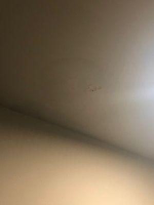 Leaking ceiling that was just painted over and leaked again