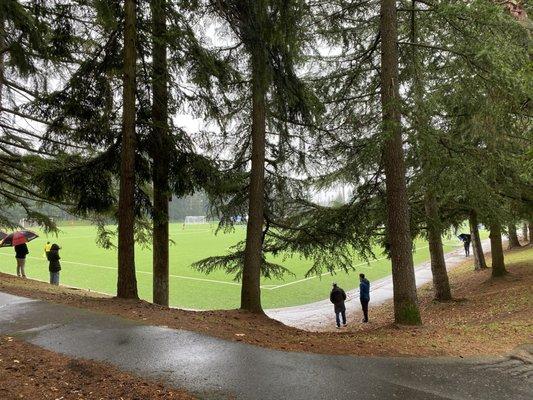 View onto the soccer pitch.