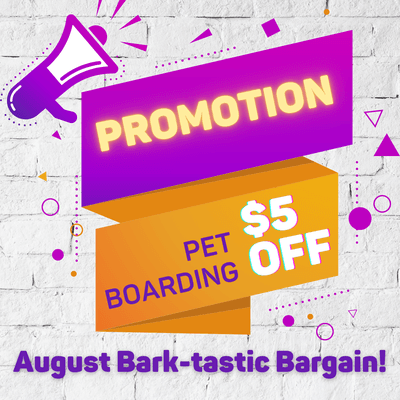 August Bark-tastic Bargain!
 Save $5 per night on Pet Boarding!
 Valid 7/20/2023 - 8/31/2023
 https://vipetresort.com/