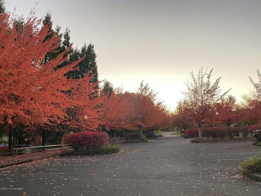 Reed College