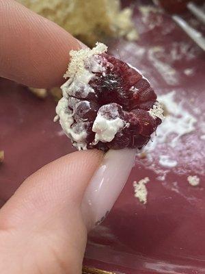 Mold on the rasberry