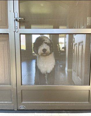 guardian pet screen door