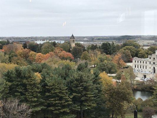 The view from the 7th floor.