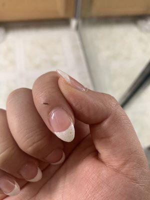 Random speck left in nail