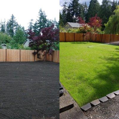 Yard Restoration