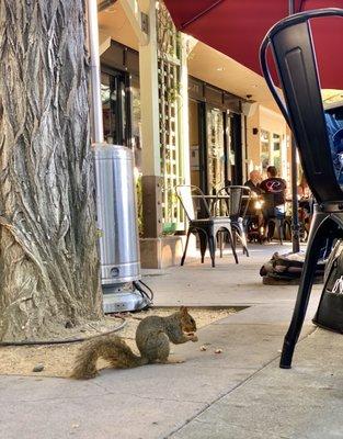 Patio dining!