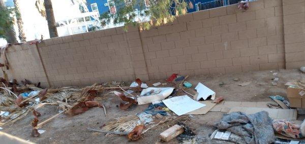 Breezeway behind my house that is supposedly a dog run. When enough complaints were lodged, the silver kings gave up their responsibility.