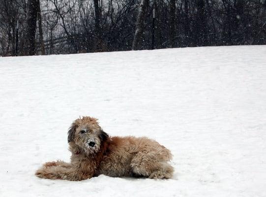 Estabrook Dog Park.