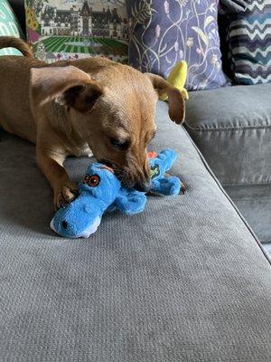 Diamond and toy alligator