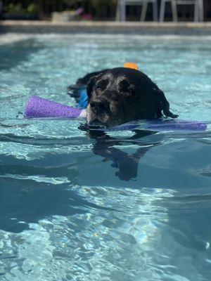 Maggie's therapeutic swim