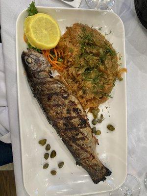 Grilled trout with cabbage