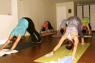 Yoga for beginners to experts at Brandywine Yoga