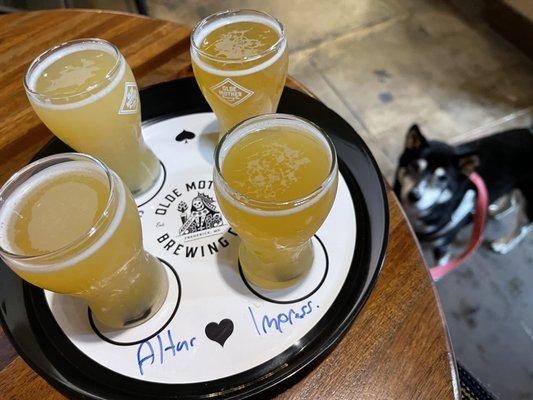 Dog friendly  Brewery