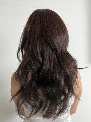 Chestnut colored brown