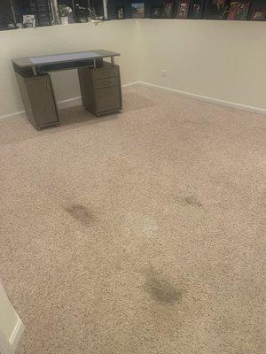 Old stained and wore out carpeting from the previous owner.